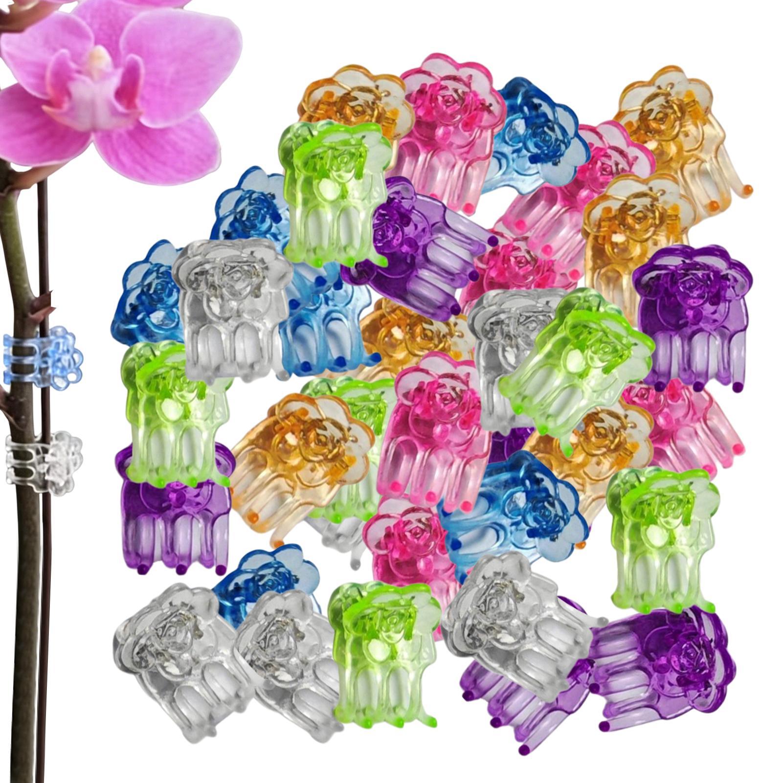 Greenhouse Plastic Film - Orchid Clips 60 Pieces Butterfly Flower