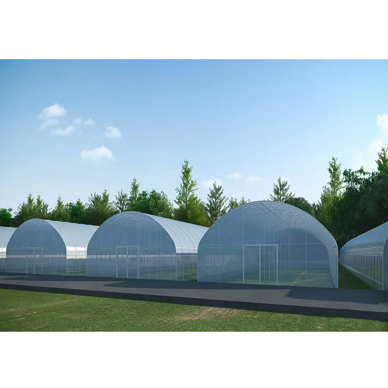 # l Low Cost Farm Singlespan G - Agriculture Farm House ulasan dan harga