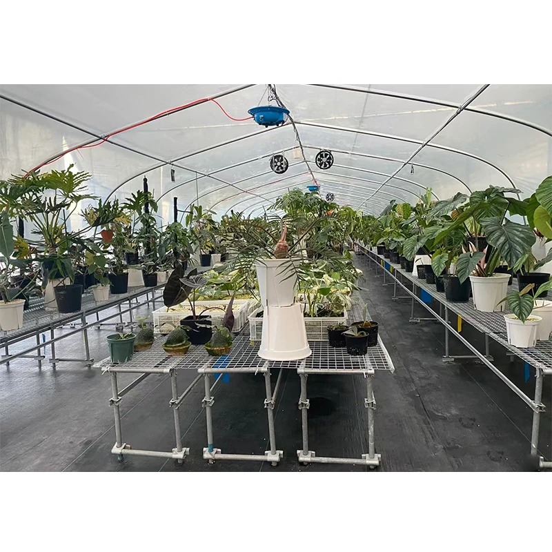 # l Low Cost Farm Singlespan G - Agriculture Farm House ulasan dan harga
