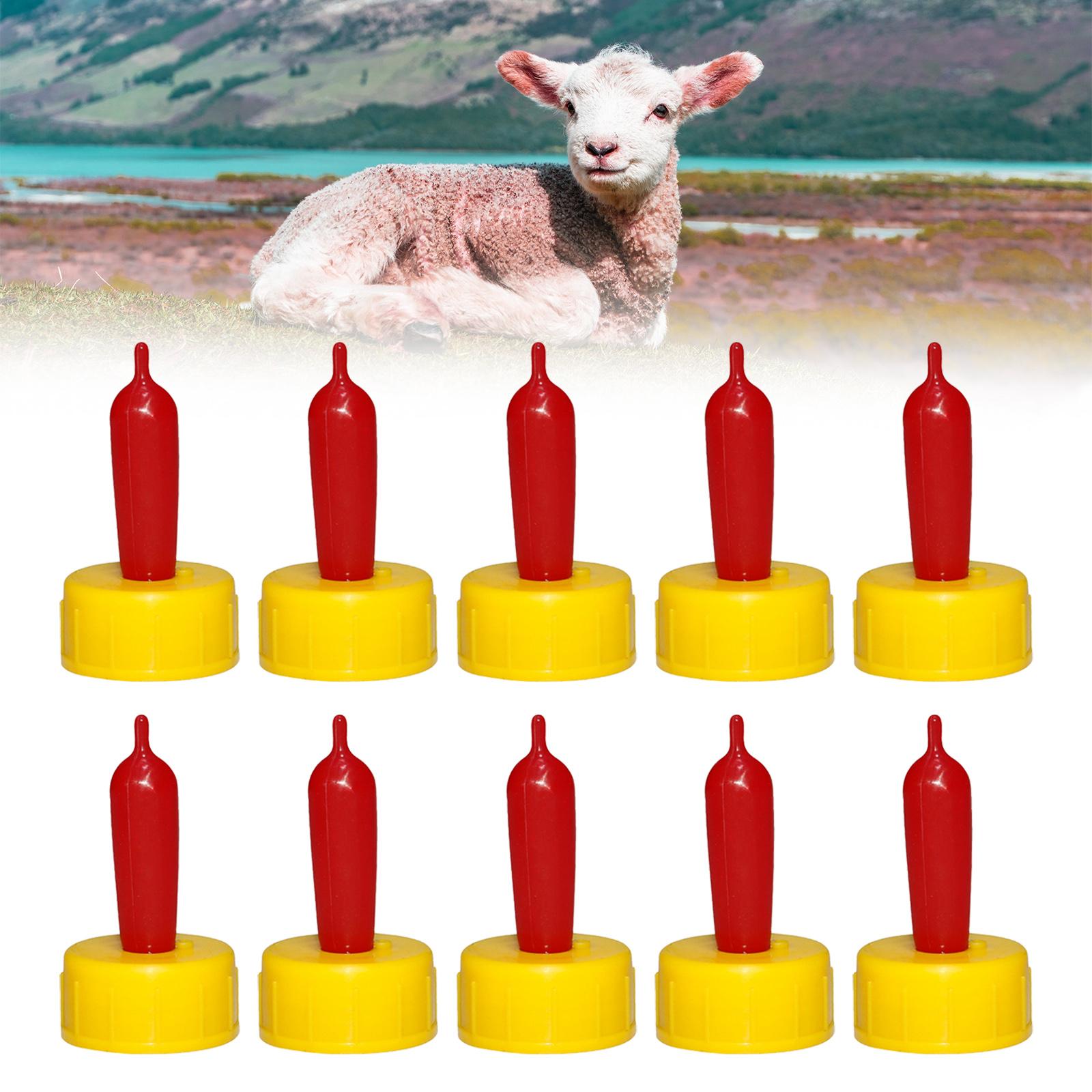 Soft Rubber Nipple Drinker for - Agriculture Farming And Livestock ulasan dan harga