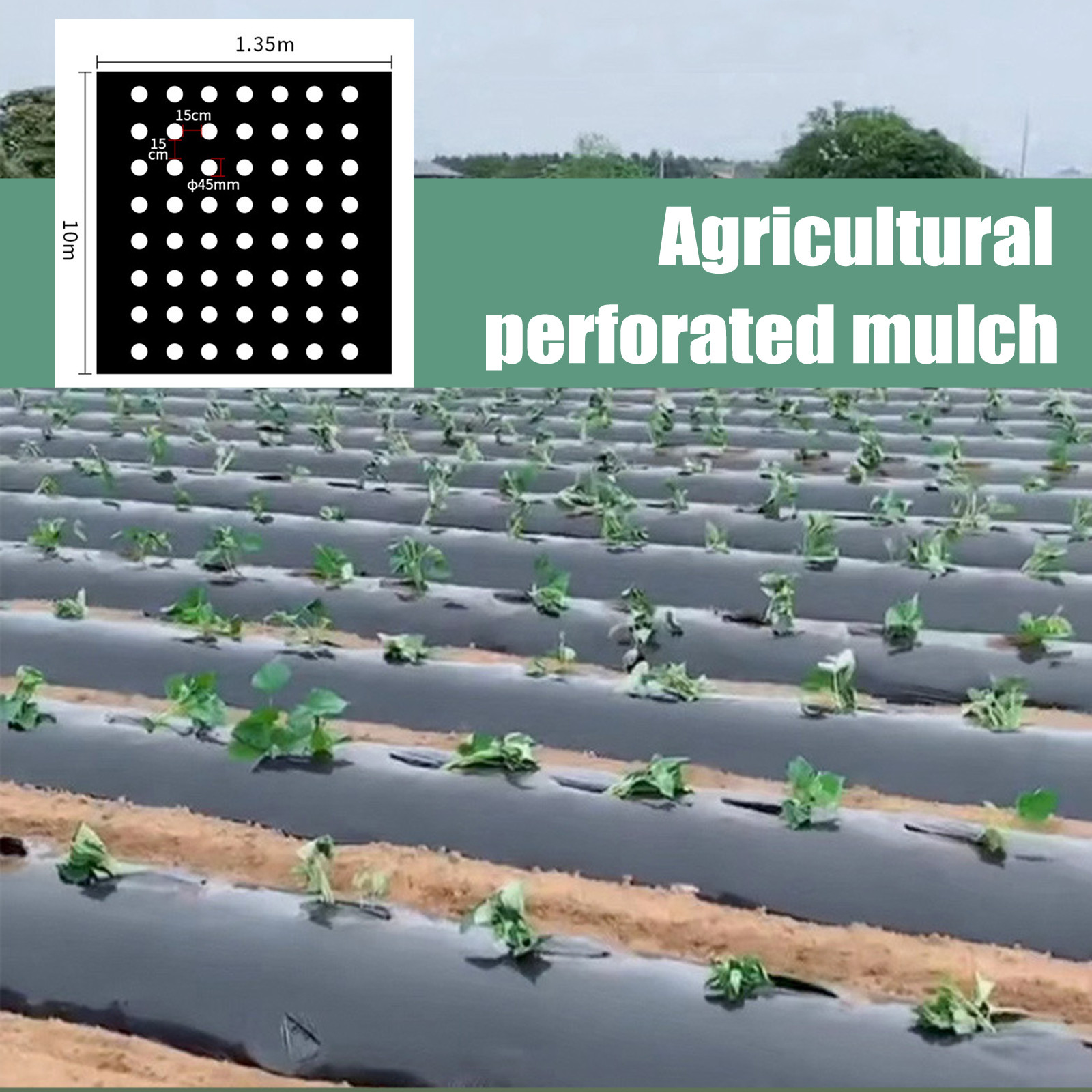 PE Perforated Mulch Film Farm  - Greenhouse Plastic Film ulasan dan harga