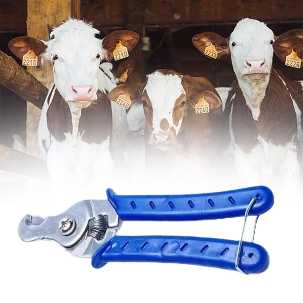 Stainless Steel Animal Ear Tag - Livestock Ear Tag ulasan dan harga