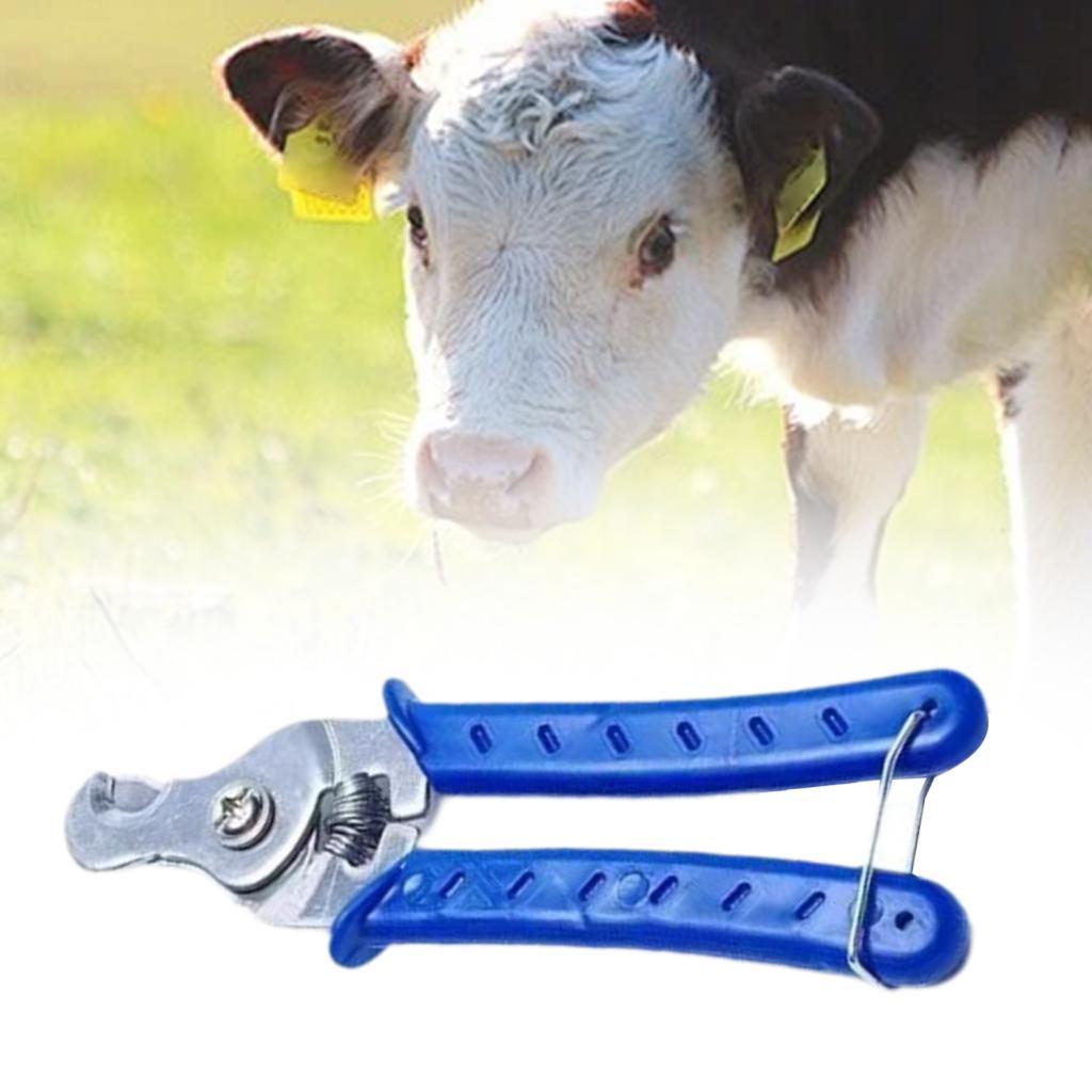 Stainless Steel Animal Ear Tag - Livestock Ear Tag ulasan dan harga