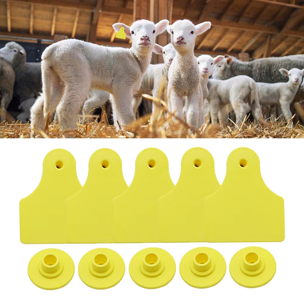 20 Pcs 40*50mm Goats Sheep Cat - Livestock Ear Tag ulasan dan harga