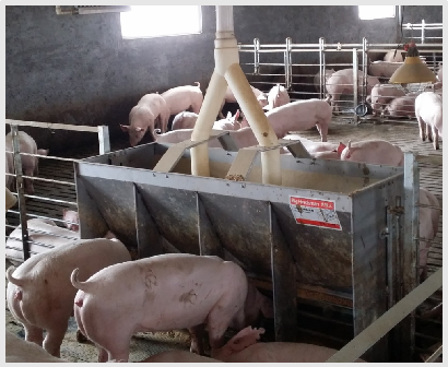 Stainless Steel Double Side Fe - Agriculture Farming And Livestock ulasan dan harga